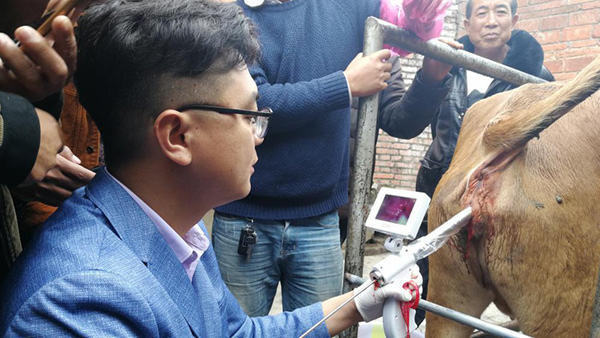 四川涼山州昭覺縣畜牧站-愛牧多案例